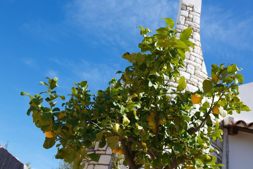 B&B La Pomelia Agrigento Eksteriør bilde